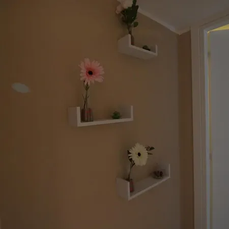 Clc Apartment